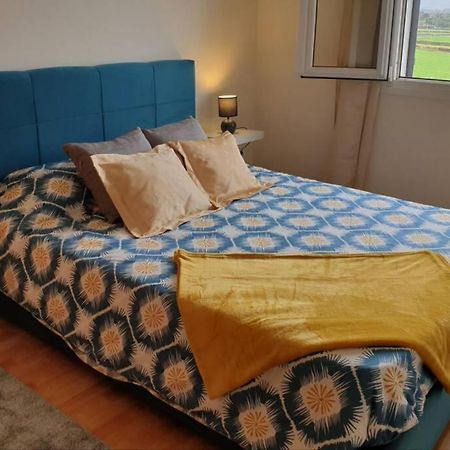 Hill & Sea House Apartment Ribeira Grande Exterior photo