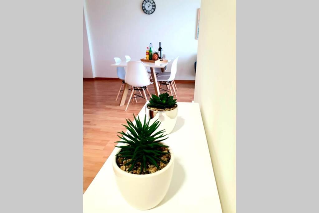 Hill & Sea House Apartment Ribeira Grande Exterior photo